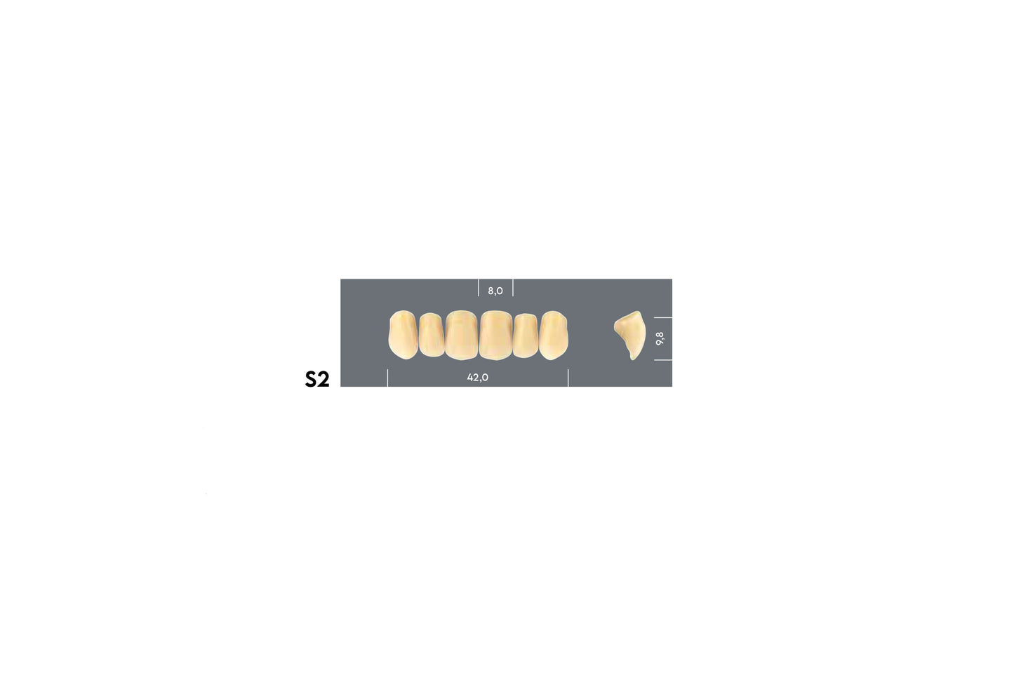 DENTI MAJOR PLUS COMP S2