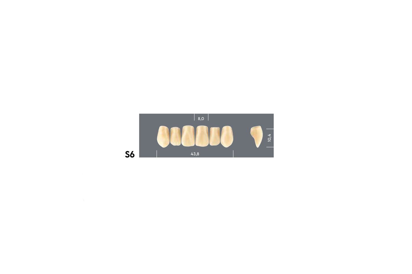 DENTI MAJOR PLUS COMP S6