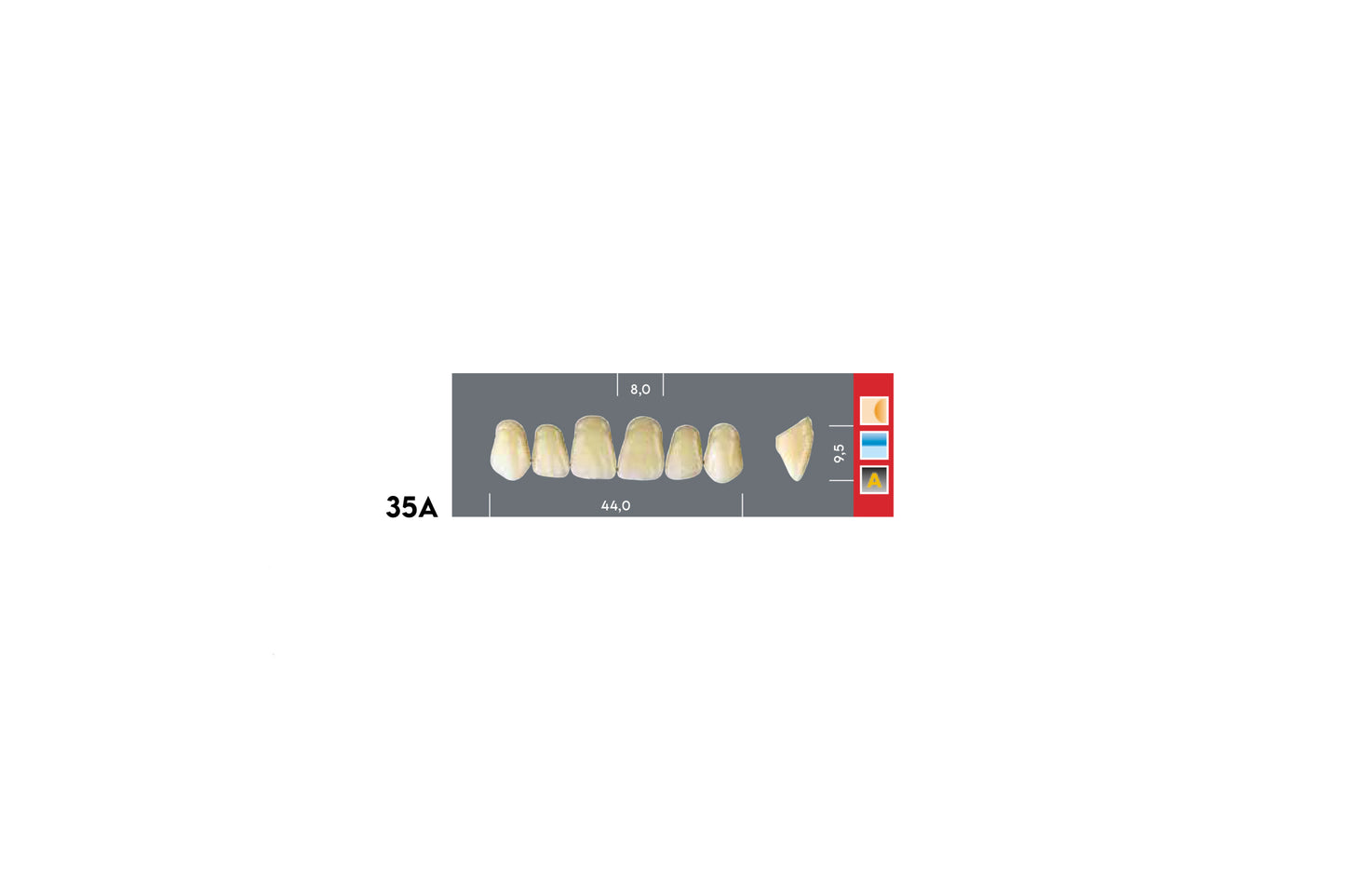 DENTI MAJOR DENT 35A