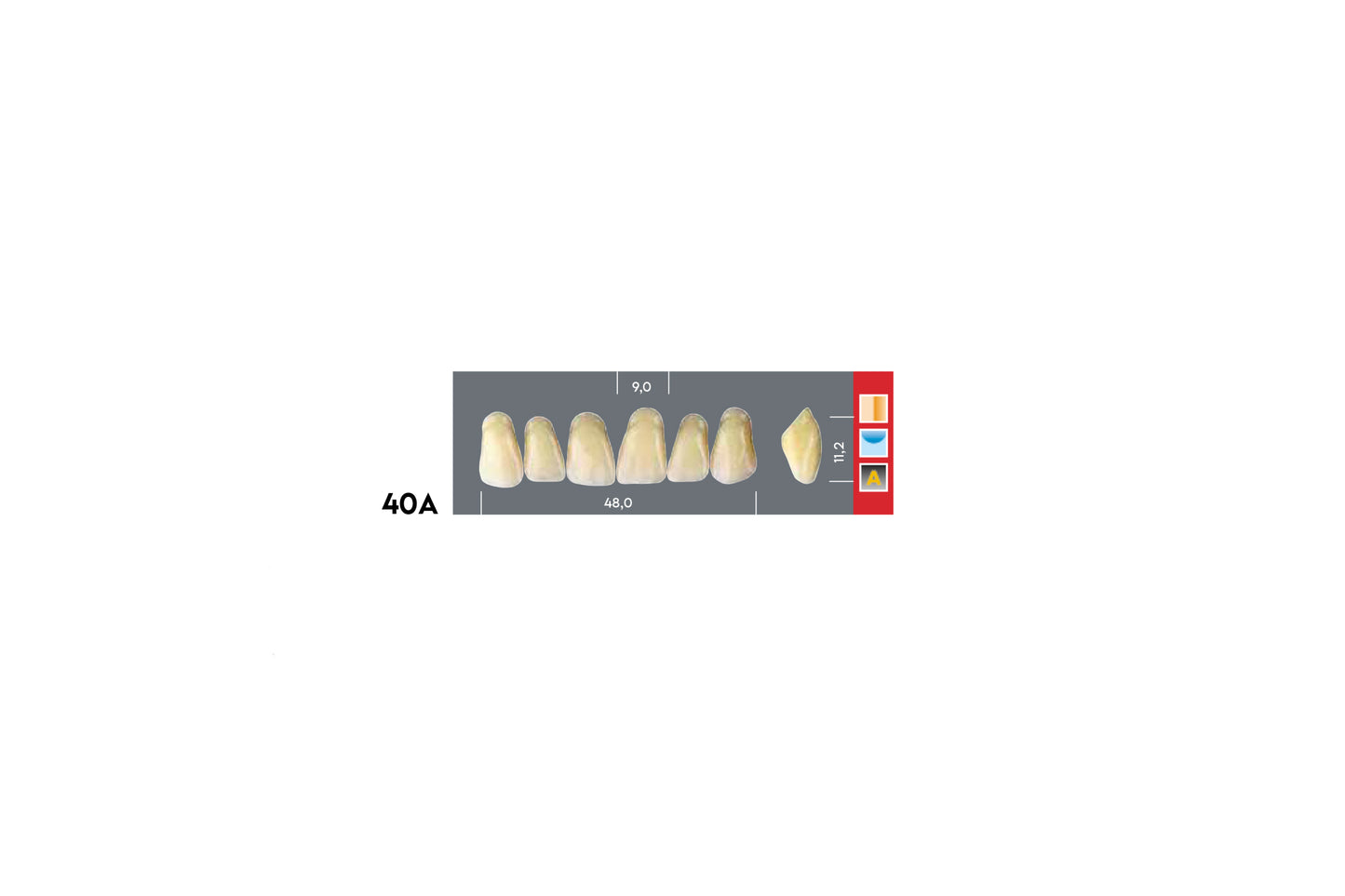 DENTI MAJOR DENT 40A