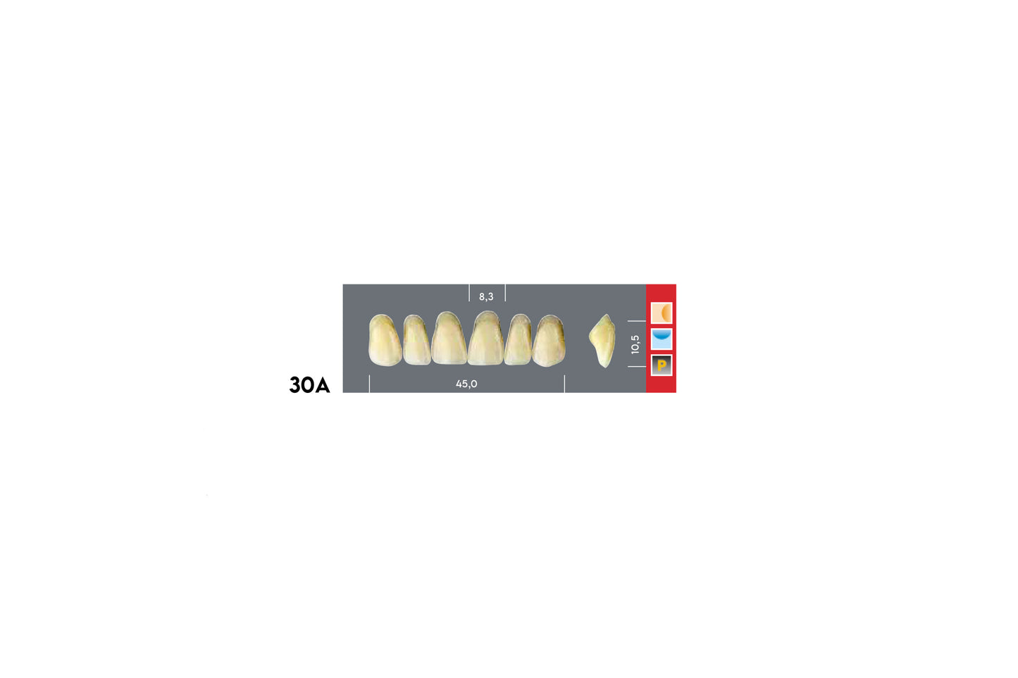 DENTI MAJOR DENT 30A