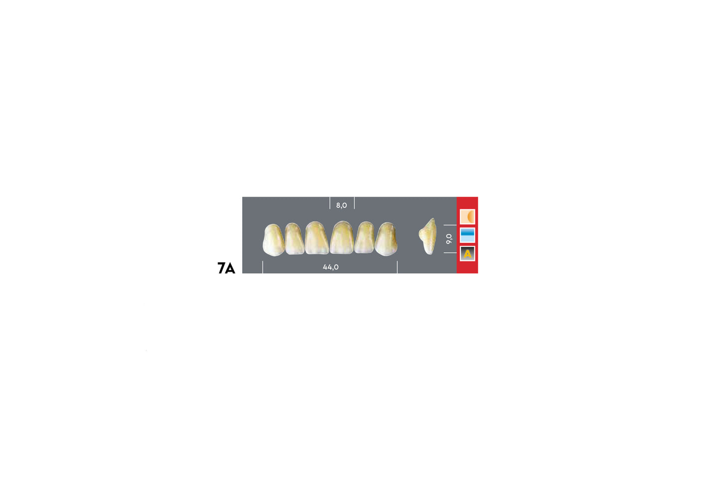 DENTI MAJOR DENT 7A