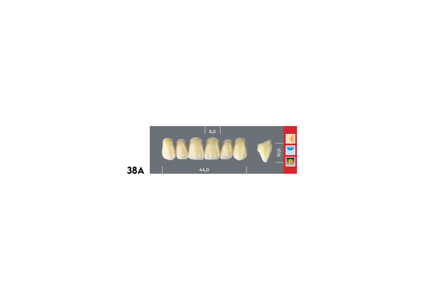 DENTI MAJOR DENT 38A