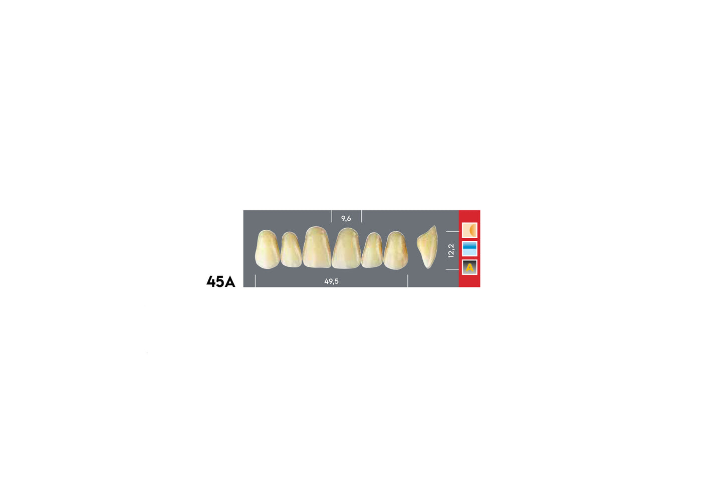 DENTI MAJOR DENT 45A