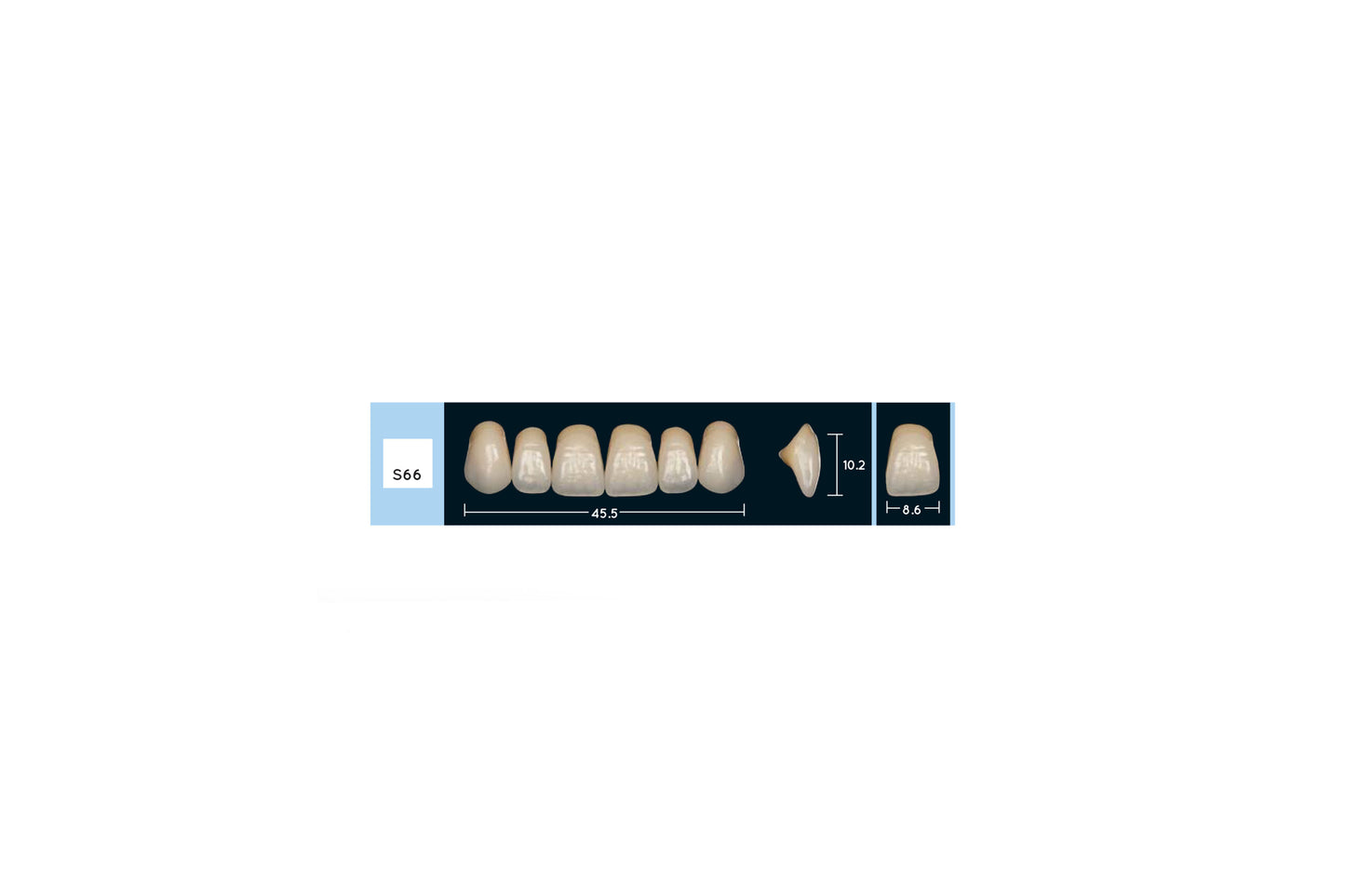DENTI ENIGMA LIFE+ S66