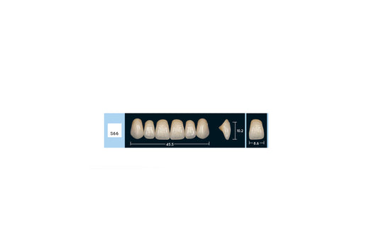 DENTI ENIGMA LIFE+ S66