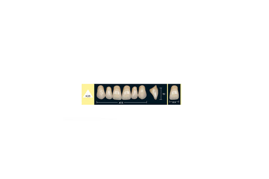 DENTI ENIGMA LIFE+ K25