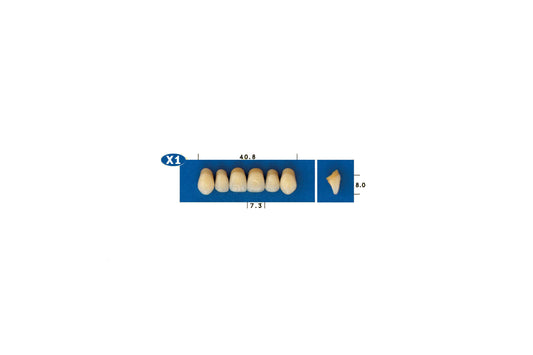 DENTI GOLDENT EXCLUSIVE X1