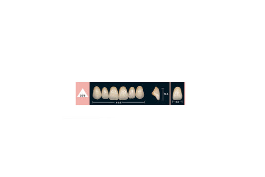 DENTI ENIGMA LIFE+ D56