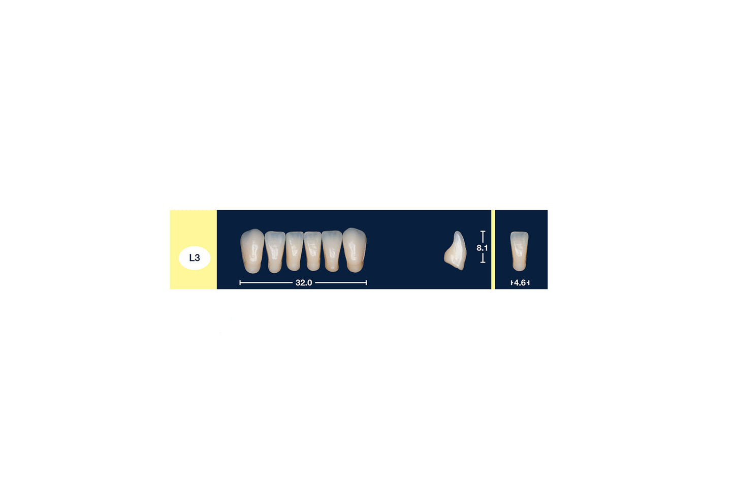DENTI 4 NATUR L3