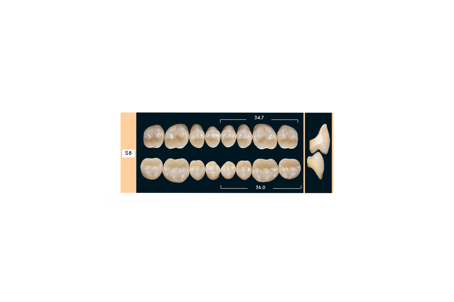 DENTI ENIGMA LIFE+ S8 INF