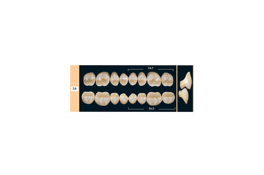 DENTI ENIGMA LIFE+ S8 INF