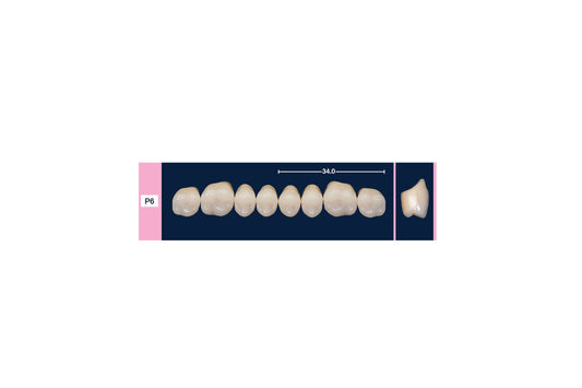 DENTI 4 NATUR P6 SUP