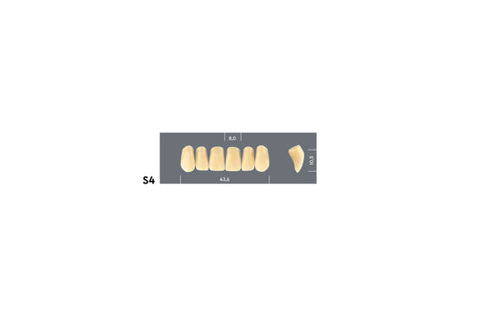 DENTI MAJOR PLUS COMP S4