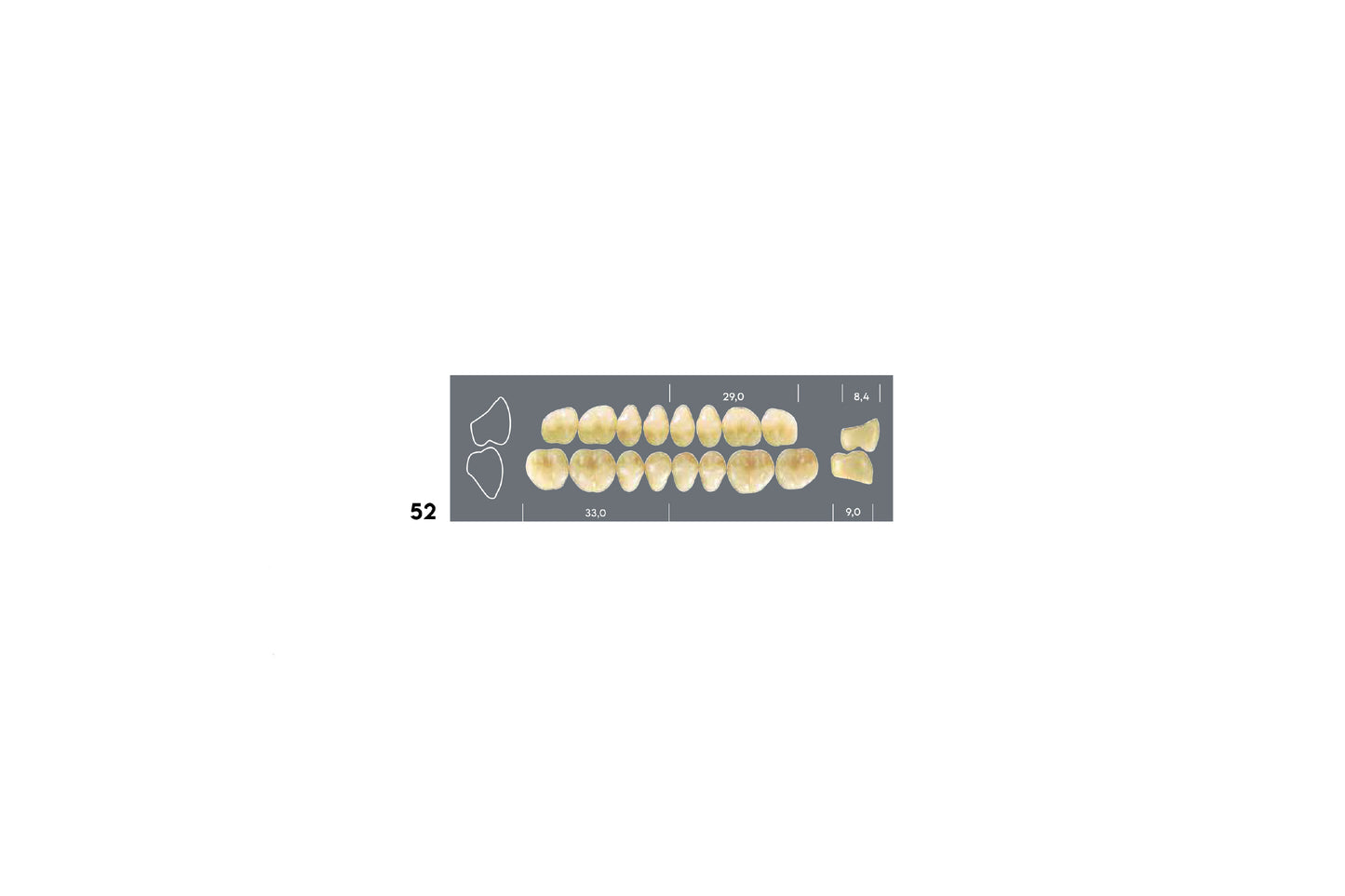 DENTI MAJOR DENT 52 SUPERIORE