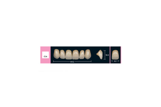 DENTI ENIGMA LIFE+ IS4