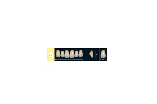 DENTI ENIGMA LIFE+ K41