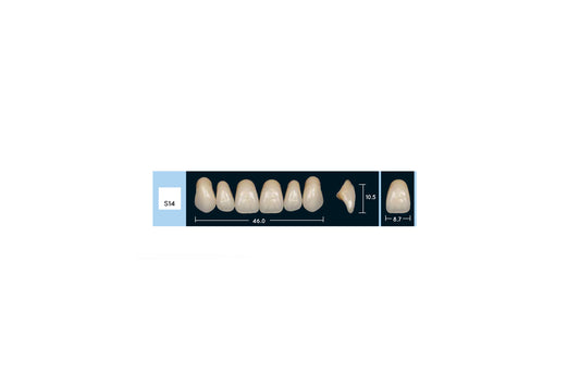 DENTI ENIGMA LIFE+ S14