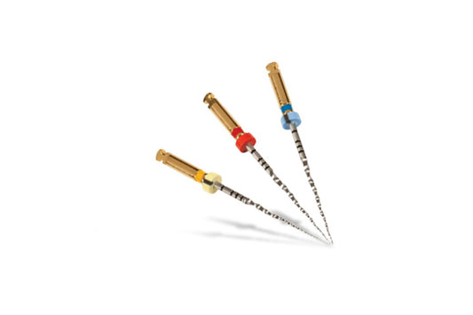 PROTAPER NEXT X2. LUNG. 21 MM.