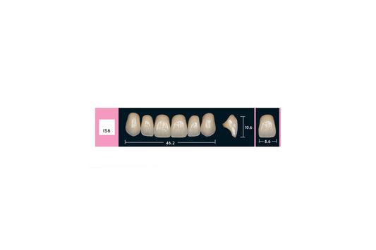 DENTI ENIGMA LIFE+ IS6
