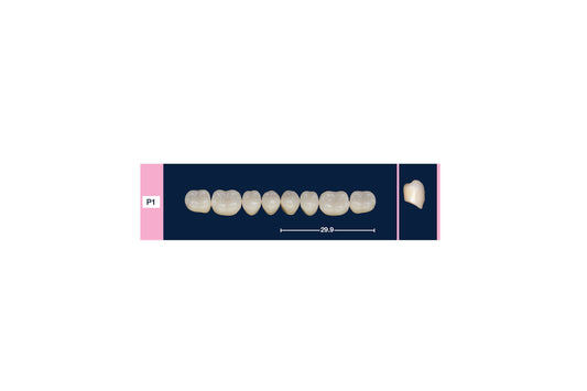 DENTI 4 NATUR P1 INF