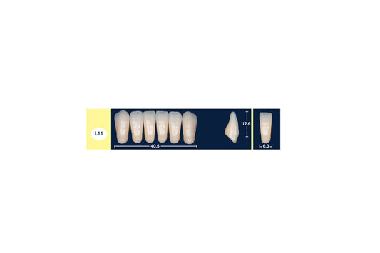 DENTI 4 NATUR L11