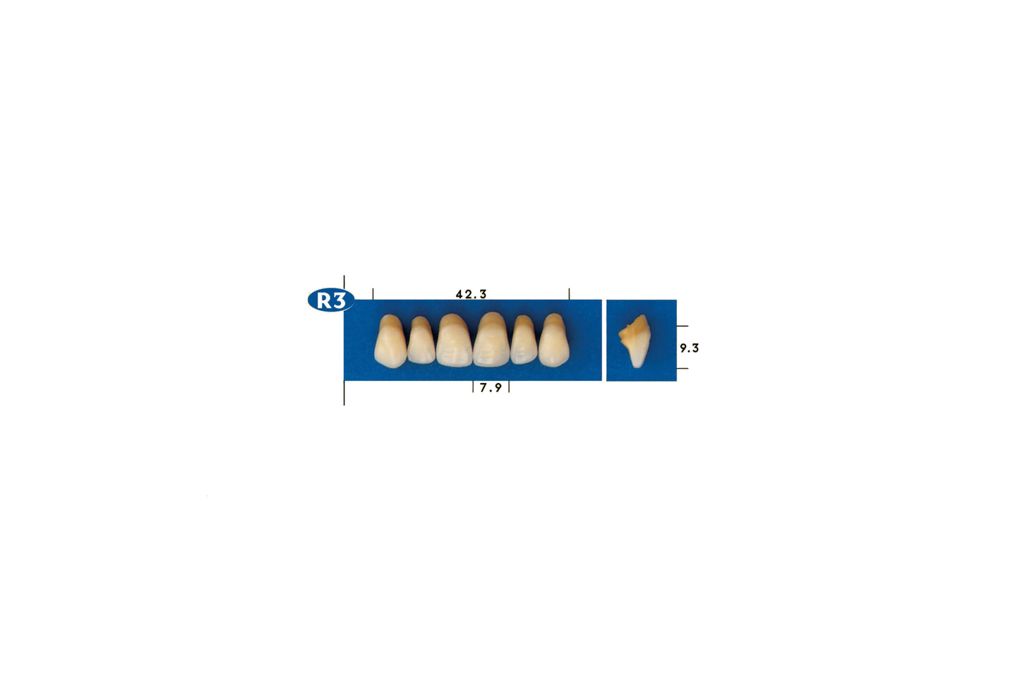 DENTI GOLDENT EXCLUSIVE R3