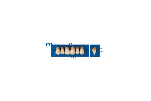 DENTI GOLDENT EXCLUSIVE R3