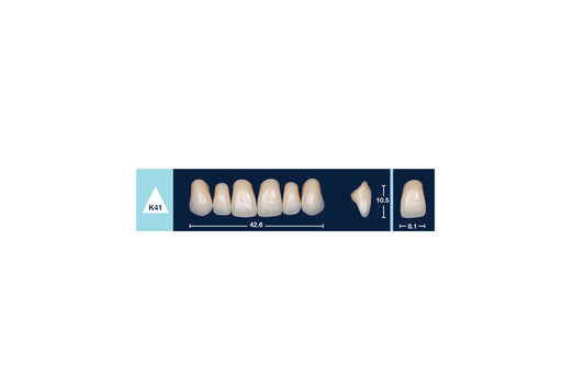 DENTI 4 NATUR K41