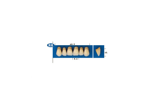 DENTI GOLDENT EXCLUSIVE R8
