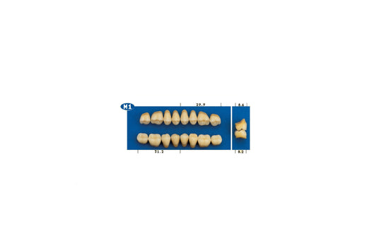 DENTI GOLDENT EXCLUSIVE M1 INF