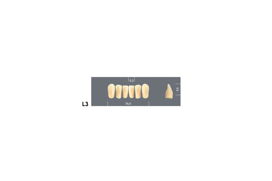 DENTI MAJOR PLUS COMP L3