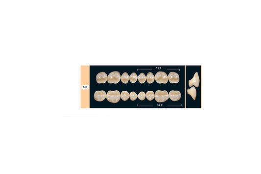 DENTI ENIGMA LIFE+ S6 INF