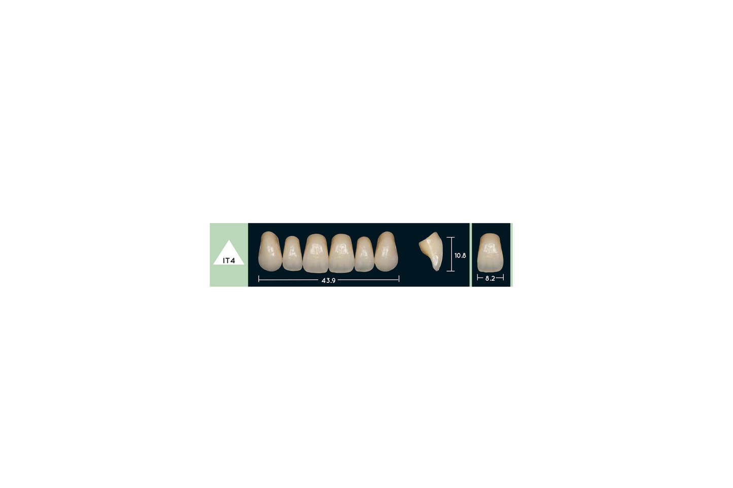 DENTI ENIGMA LIFE+ IT4