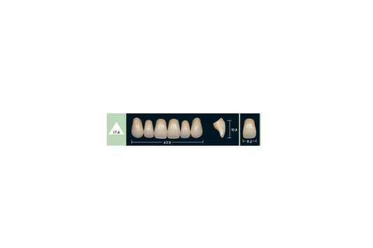 DENTI ENIGMA LIFE+ IT4