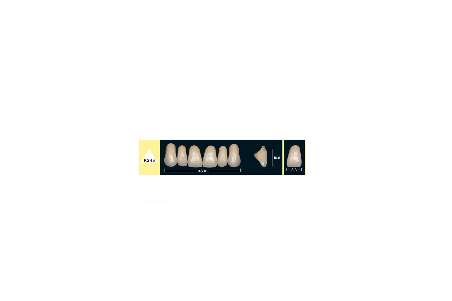 DENTI ENIGMA LIFE+ K24B
