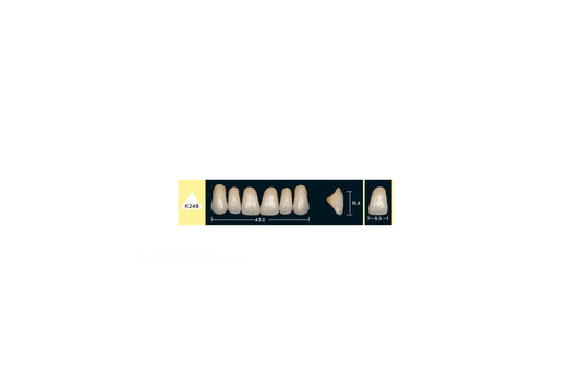 DENTI ENIGMA LIFE+ K24B