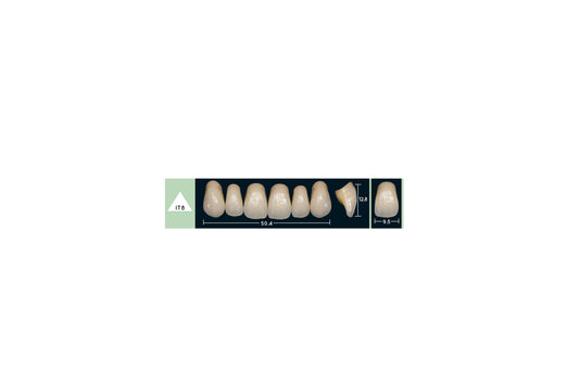 DENTI ENIGMA LIFE+ IT8