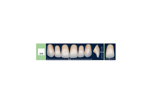 DENTI 4 NATUR S19
