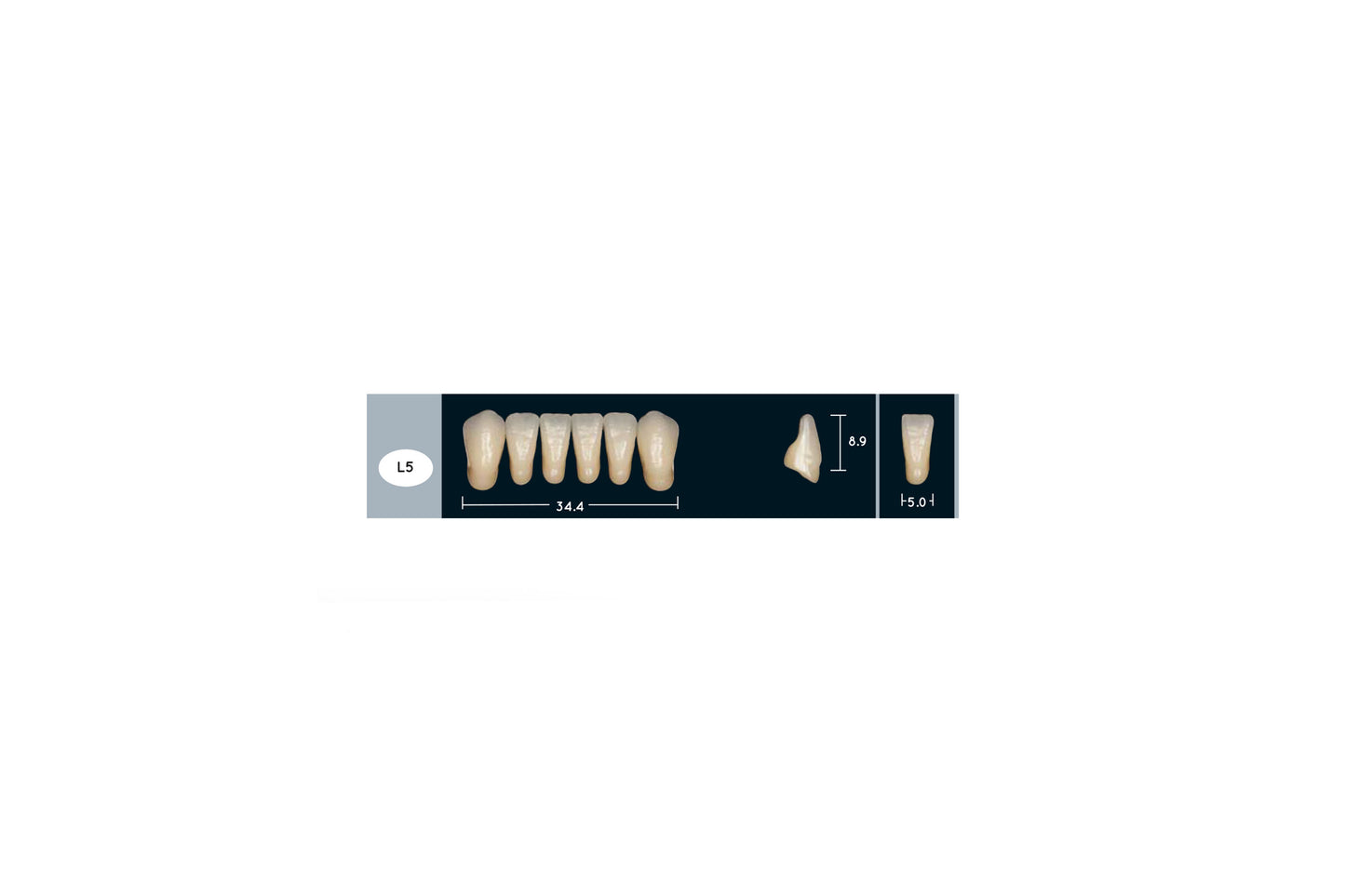 DENTI ENIGMA LIFE+ L5