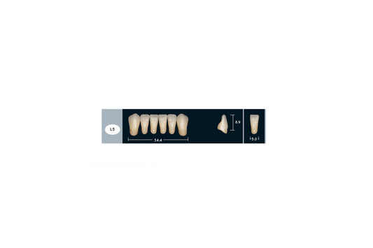 DENTI ENIGMA LIFE+ L5