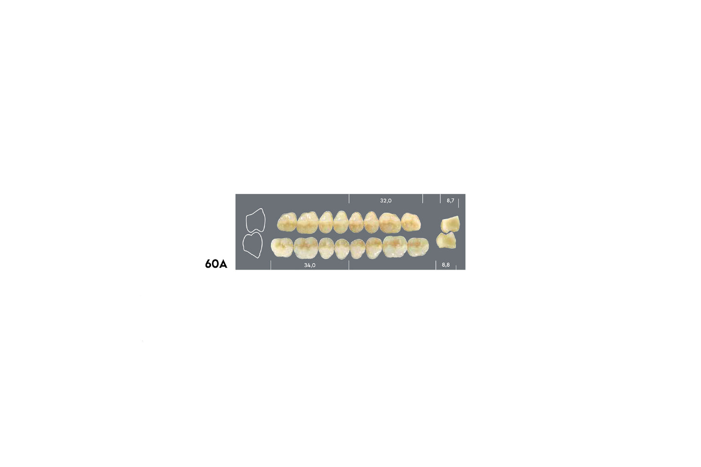 DENTI MAJOR DENT 60A SUPERIORE