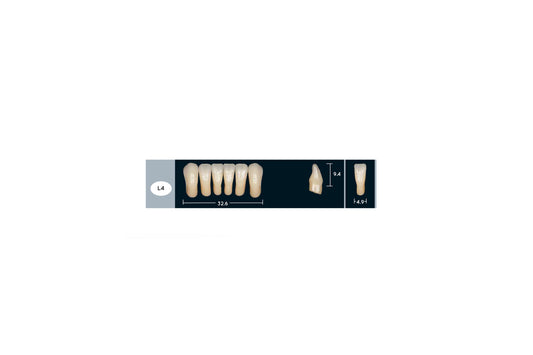 DENTI ENIGMA LIFE+ L4