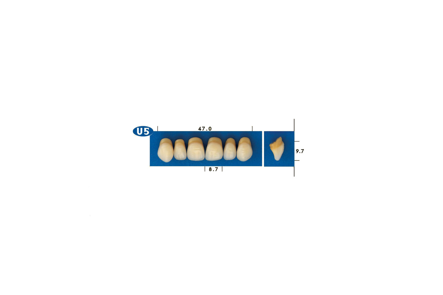 DENTI GOLDENT EXCLUSIVE U5