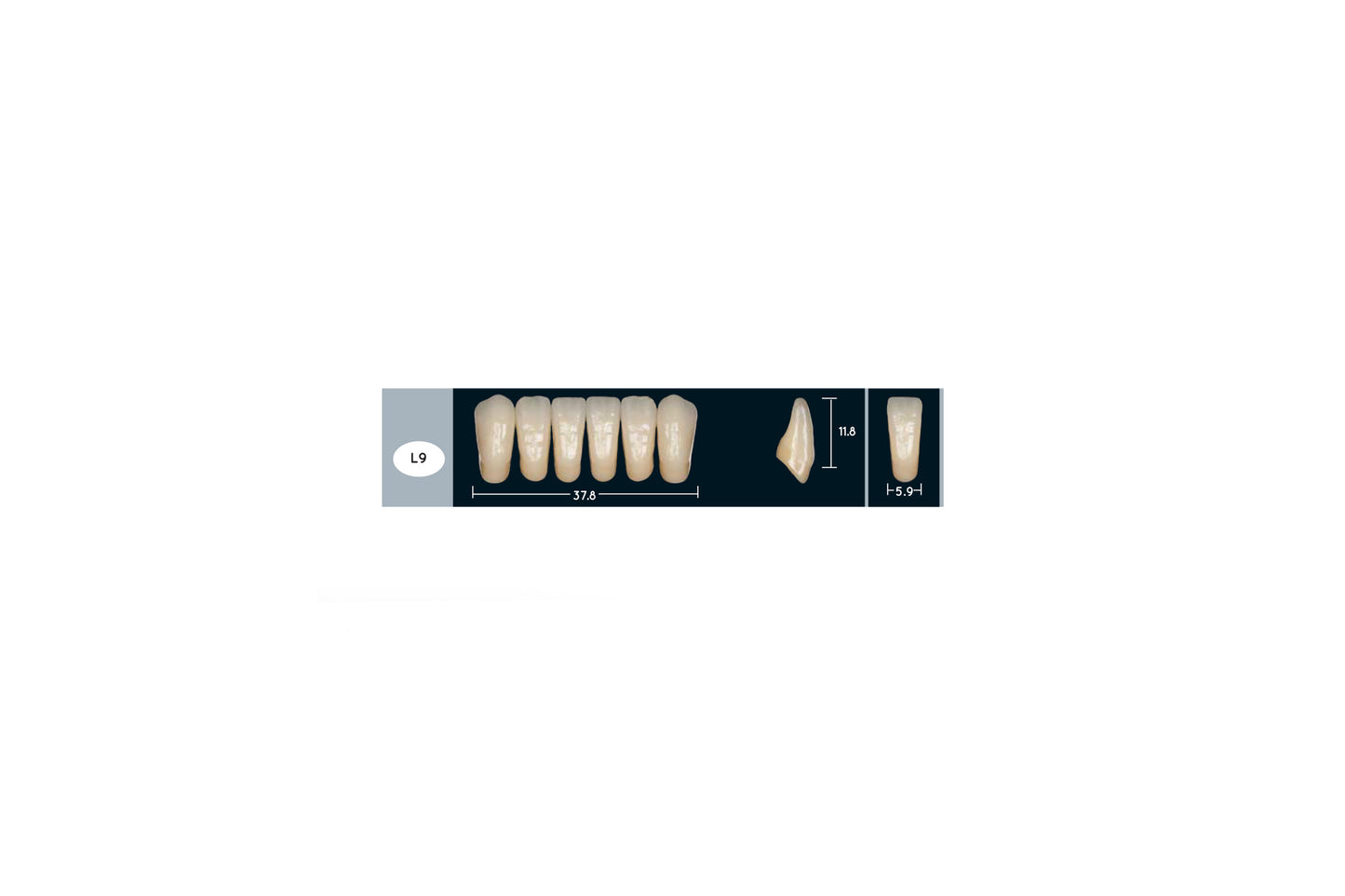 DENTI ENIGMA LIFE+ L9