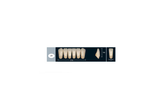 DENTI ENIGMA LIFE+ L9
