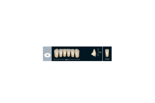 DENTI ENIGMA LIFE+ L6