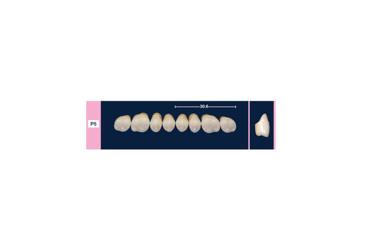 DENTI 4 NATUR P5 SUP