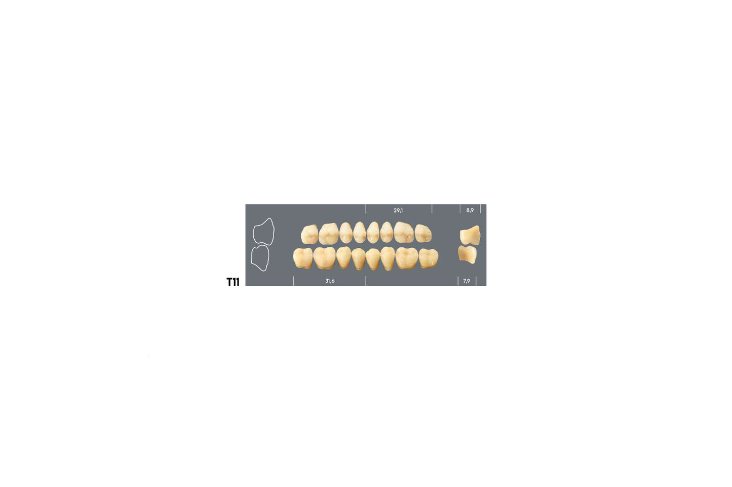 DENTI MAJOR PLUS COMP T11 SUP
