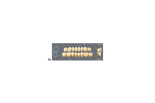 DENTI MAJOR PLUS COMP T11 SUP